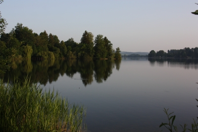 morgens am Waginger See 1