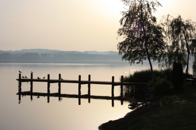 morgens am Waginger See 5