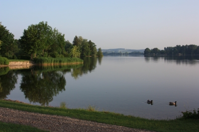 morgens am Waginger See 6