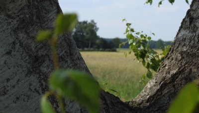 Einblick in die Natur