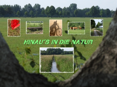 Hinau´s in die Natur