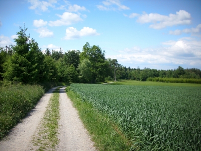 Feldweg durch den Odenwald