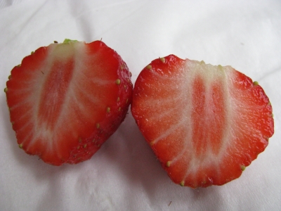 Erdbeere halbiert