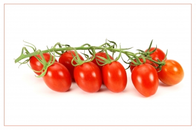 Tomaten 53