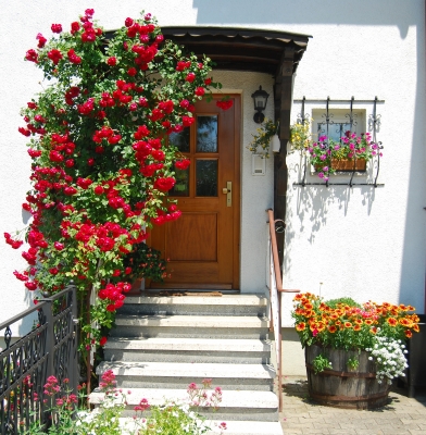 Türeingang mit Rosen