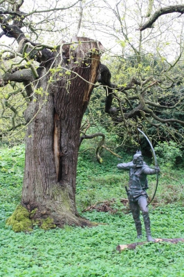 Sherwood Forest mit Robin Hood