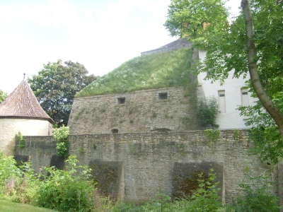 Schlossmauer Moritzburg