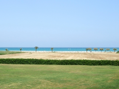 Wiese, Strand, Palmen, Meer, Himmel