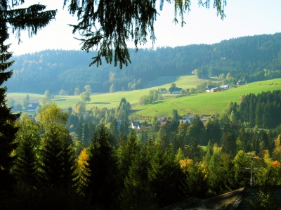 Der Schwarzwald bei Hinterzarten