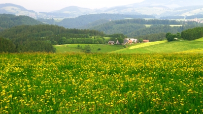 Der Schwarzwald - deutsches Mittelgebirge