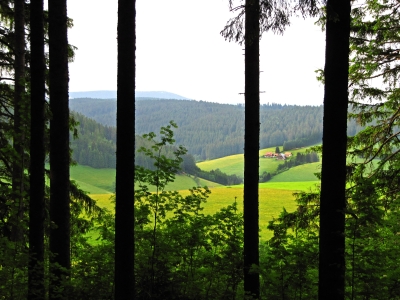 Schwarzwald-Bauernhof