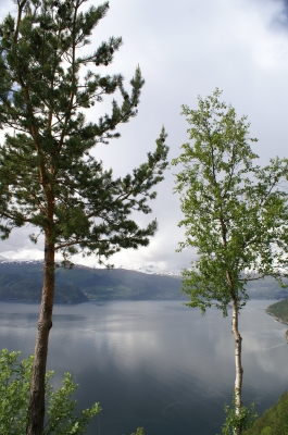 Romsdalsfjord 5