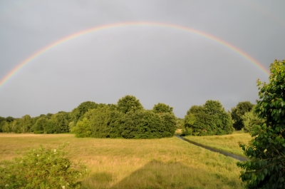 Regenbogen