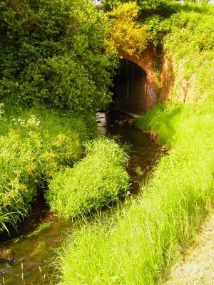 Ein Tunnel für den Gohbach