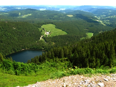 Feldsee unterhalb des Feldberges