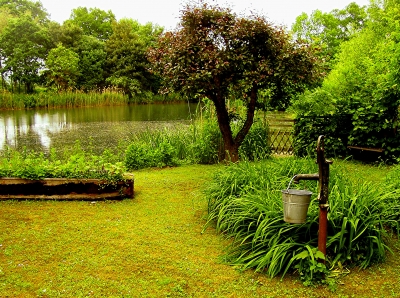 Garten am Teich