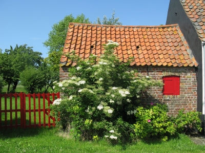 Ein Bauernhof im Grossraum De Haan ( Belgien )