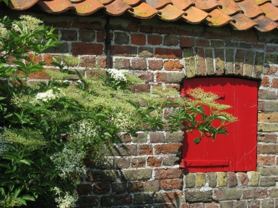 Ein Bauernhof im Grossraum De Haan ( Belgien )