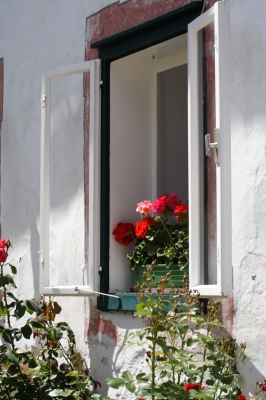 Blumenfenster