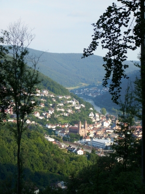 Eberbach am Neckar