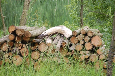 Holzstapel in Natur