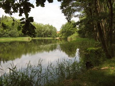 Kleiner See