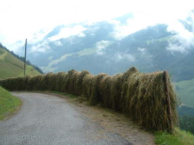Heuernte in Südtirol