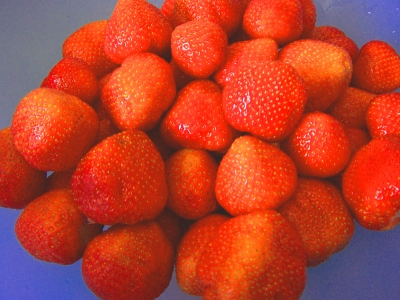 Erdbeerzeit 3