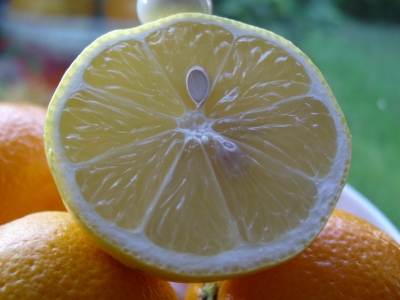 Zitrone halbiert