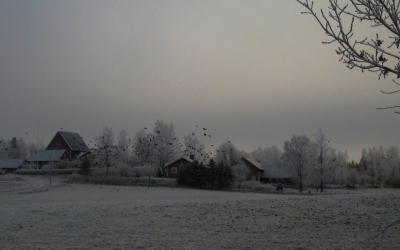 Winternebel