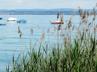 Bodensee-Schweiz 10