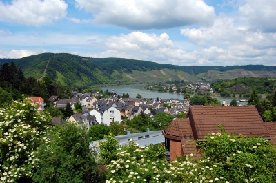 Boppard am Rhein, Rheinschleife #2