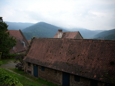 Kühler Nebel über den Dächern