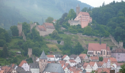 Hirschhorn mit Schloss