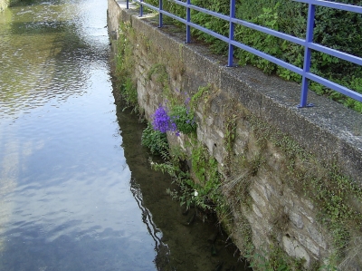 Leben aus Steinen 4 am Leinekanal in Göttingen