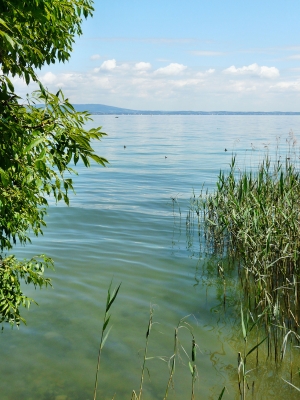 Bodensee-Schweiz 9