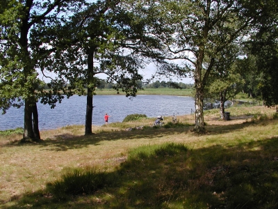 Wollingster See