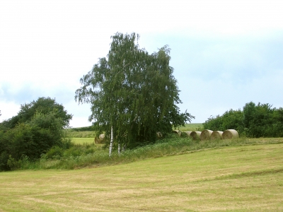 Landschaftsausschnitt