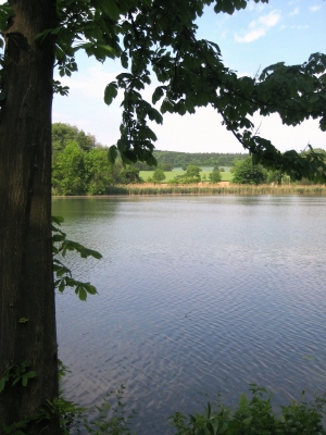 Blick über den Teich