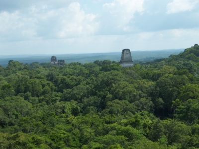 Mayapyramiden in Tikal