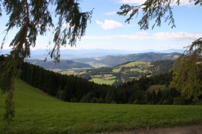 Bergwiesen in Kärnten 2