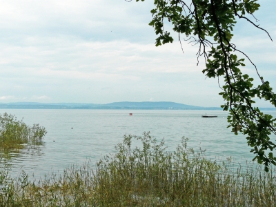 Uferblick 4