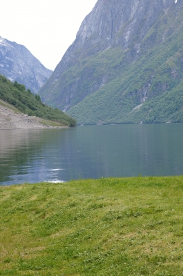 Hardngerfjord