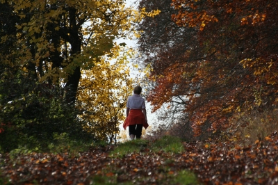 Wanderin Herbst