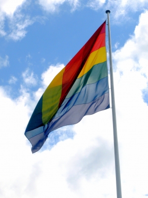 Rainbow-Flag I
