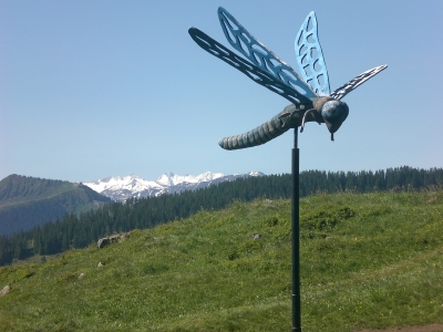 Libelle in Ellmau in Tirol