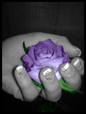 Rose in meiner Hand