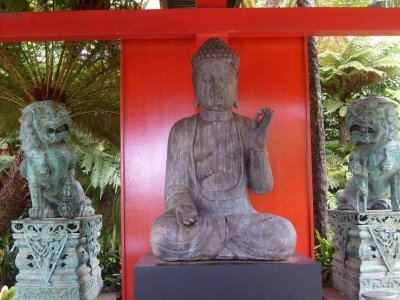 Buddha im botanischen Garten-Madeira