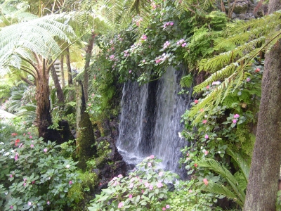 Wasserfall-Madeira