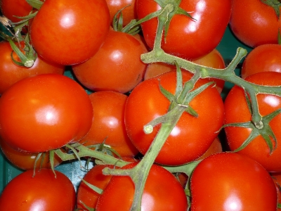 Tomaten